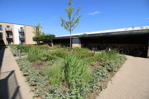 Outside- click for photo gallery